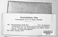 Thekopsora areolata image